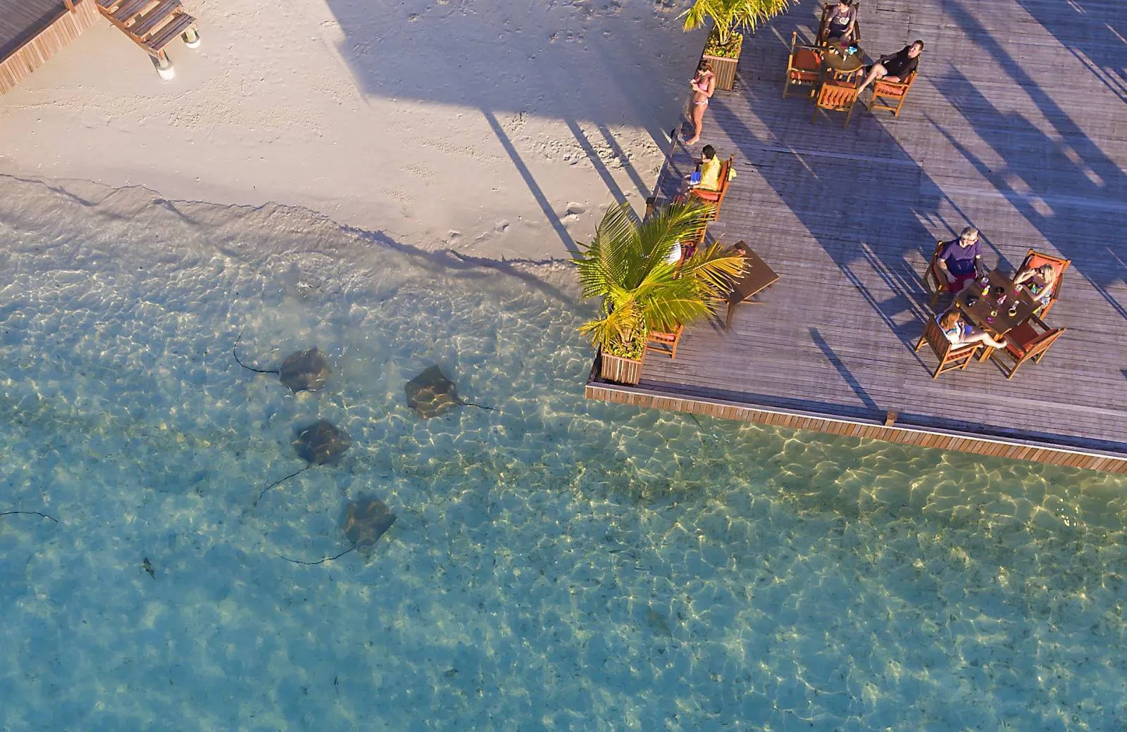 Sun Siyam Vilu Reef 5*