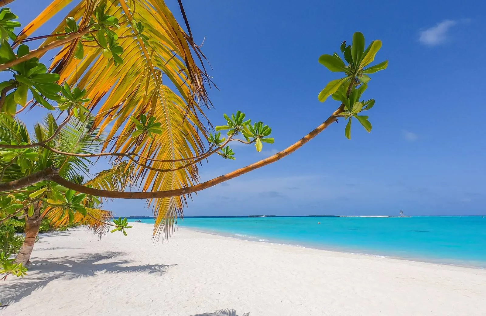 The Standard, Huruvalhi Maldives 5*