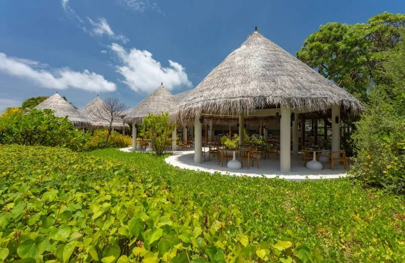 Cocoon Maldives 5*