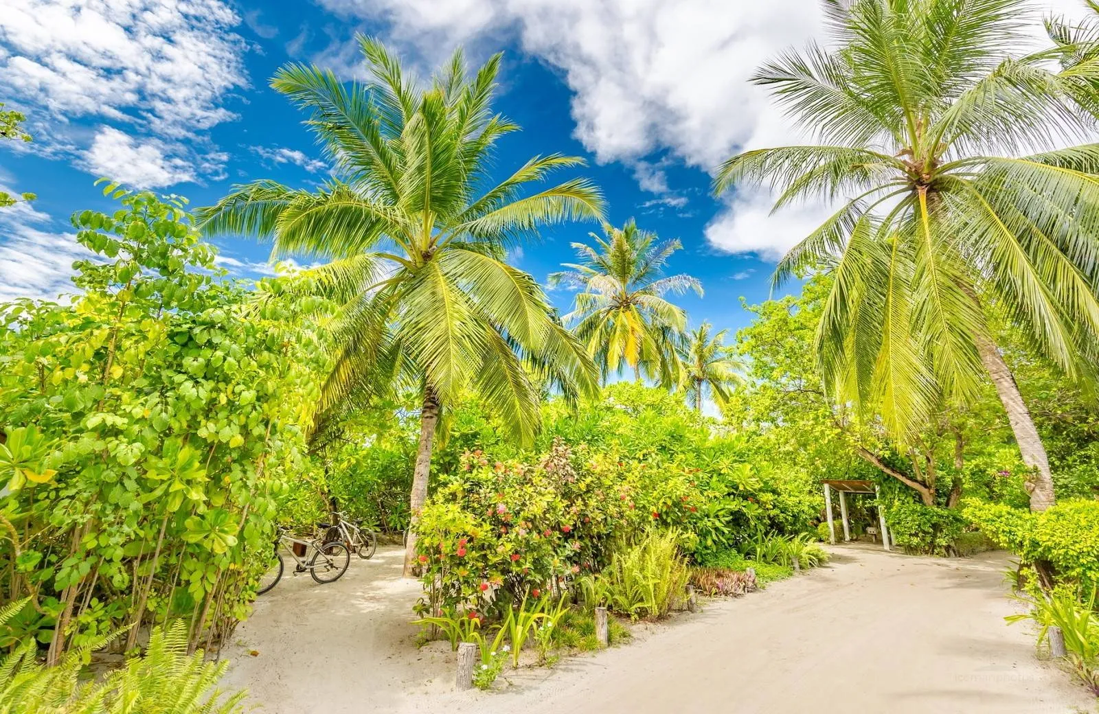 LUX* South Ari Atoll Resort & Villas 5*