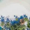 Kandooma Maldives 4*