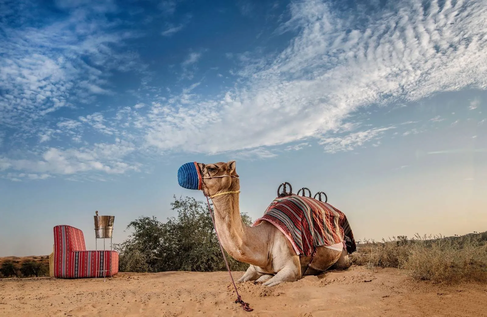 The Ritz-Carlton Ras Al Khaimah, Al Wadi Desert 5*