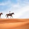The Ritz-Carlton Ras Al Khaimah, Al Wadi Desert 5*