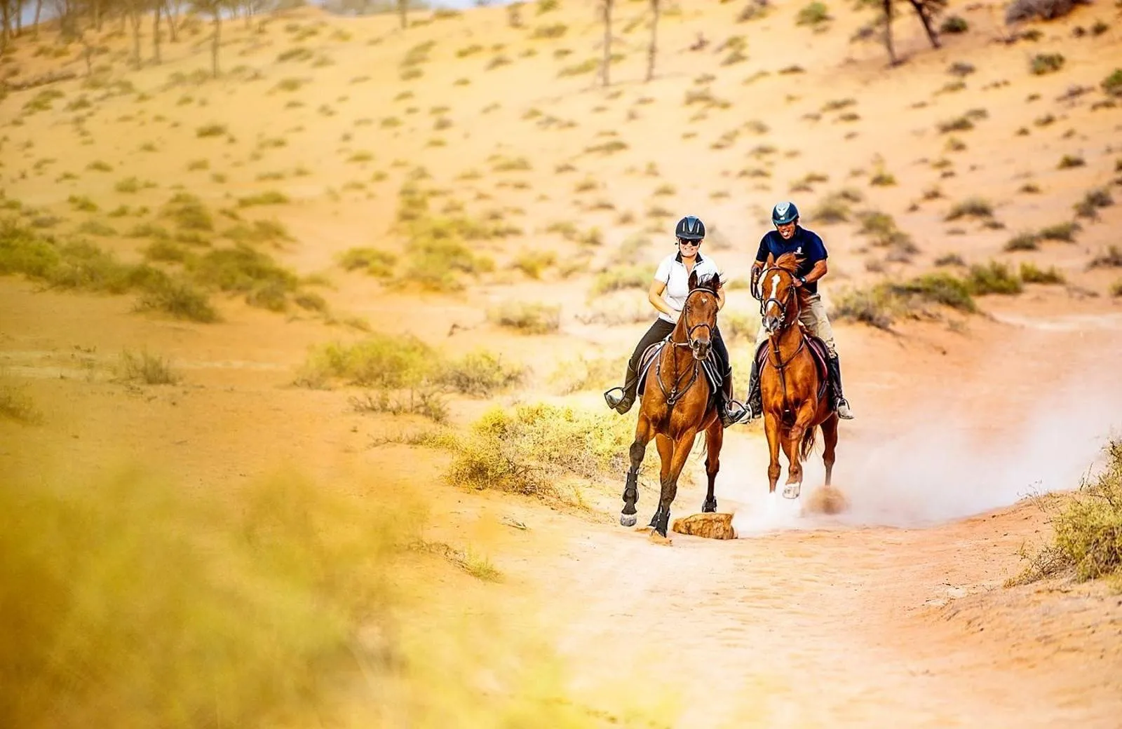 The Ritz-Carlton Ras Al Khaimah, Al Wadi Desert 5*
