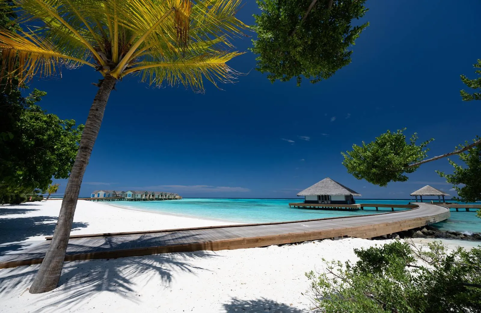 Cora Cora Maldives 5*