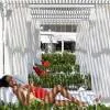 Th8 Palm Dubai Beach Resort Vignette Collection 5*
