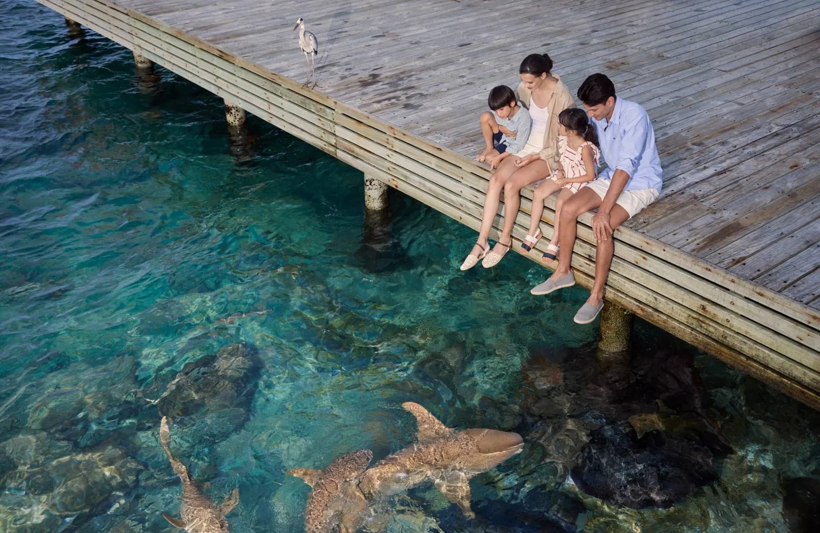 Machchafushi Island Resort & Spa Maldives (ex. Centara Grand Island) 5*