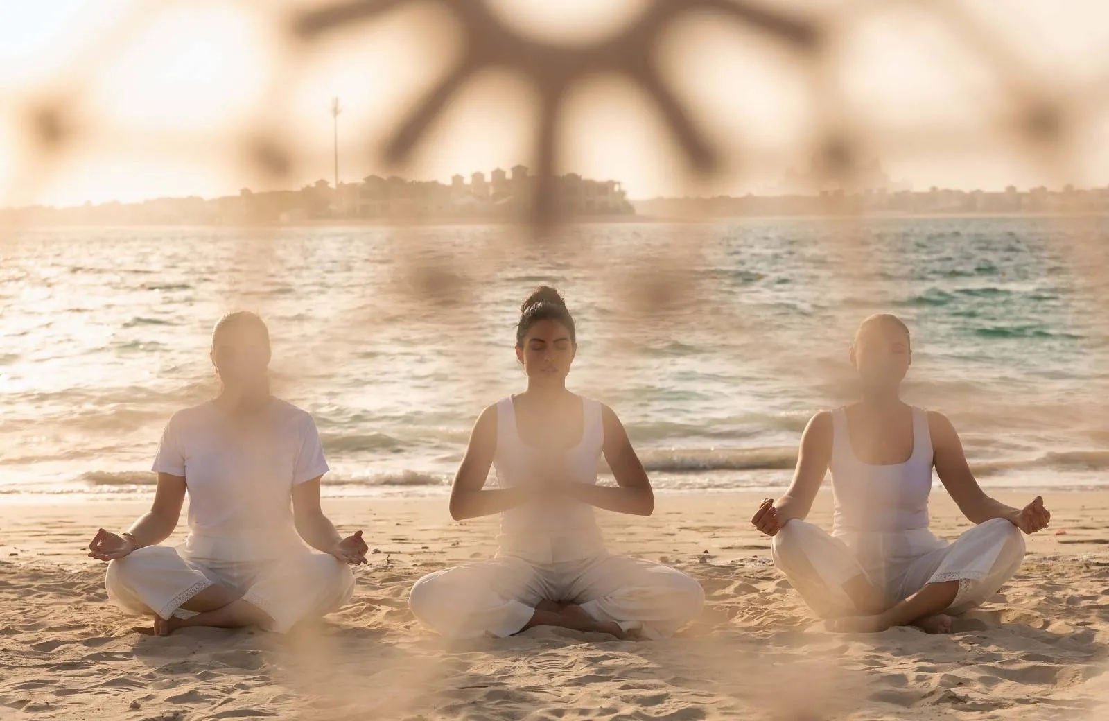 Taj Exotica Resort & Spa, The Palm 5*