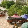 W Dubai - Mina Seyahi 5*