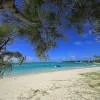 C Mauritius 5*
