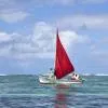 C Mauritius 5*