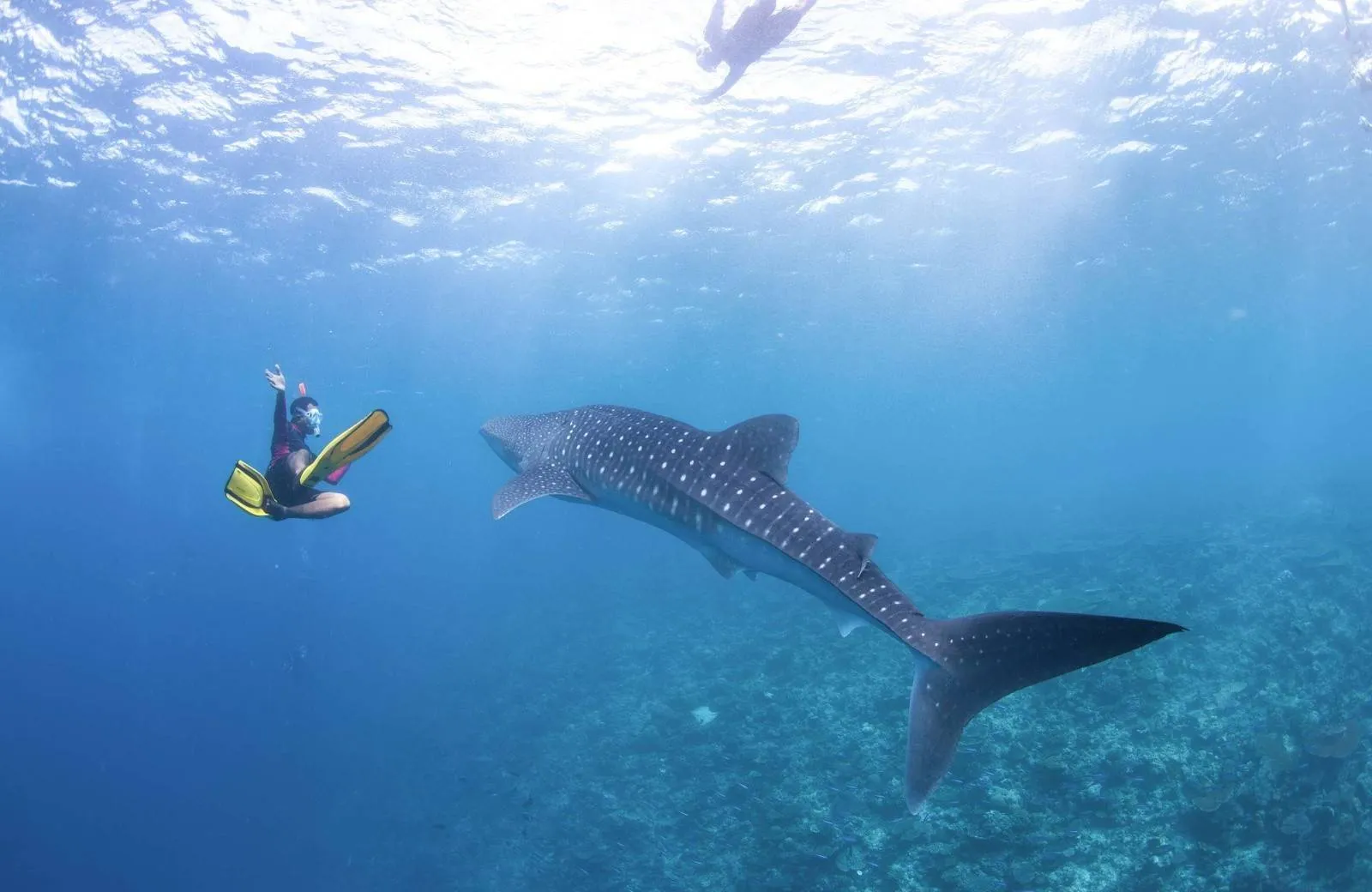 Radisson Blu Resort Maldives 5*