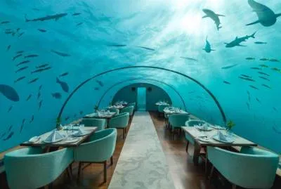 Conrad Maldives Rangali Island 5*