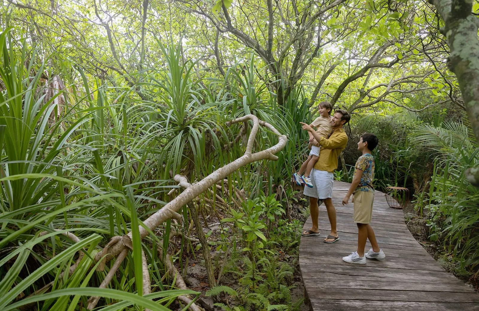 RAAYA by Atmosphere 5*