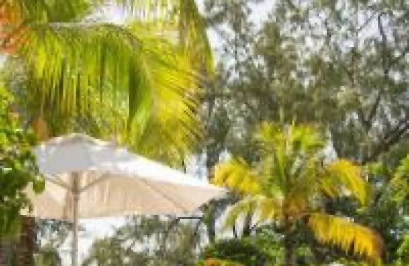 Coin de Mire Attitude 3*