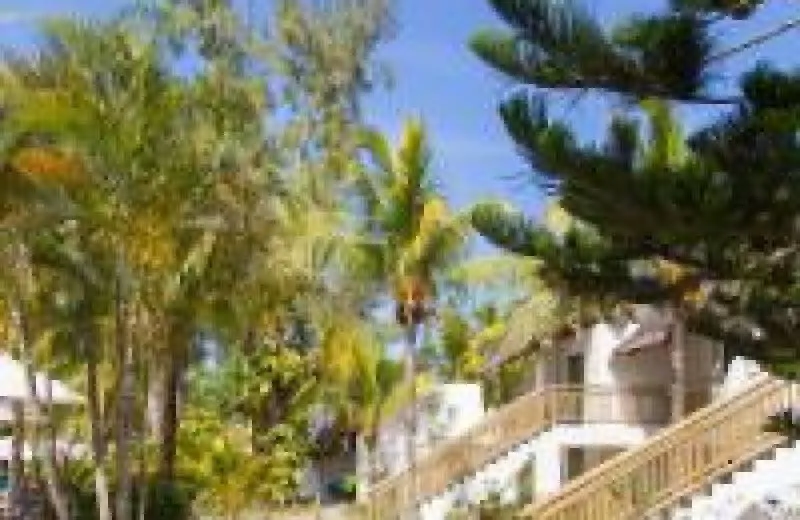 Coin de Mire Attitude 3*