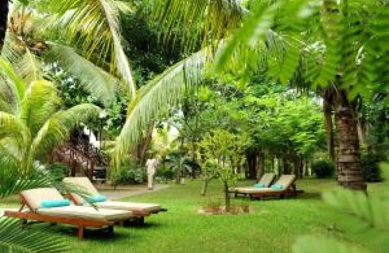 Coin de Mire Attitude 3*