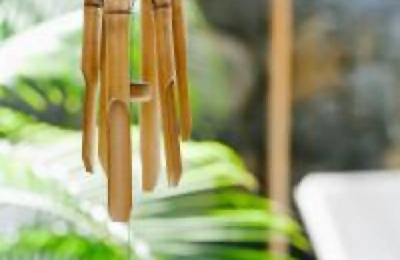 Coin de Mire Attitude 3*