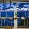 Bliss Hotel Mahe 4*