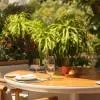 Banyan Tree Dubai At Bluewaters Island 5*