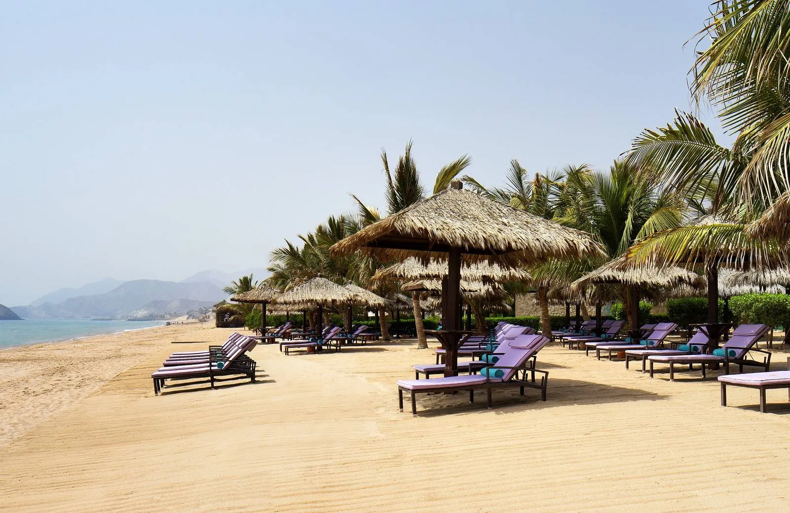 Le Meridien Al Aqah Beach Resort 5*