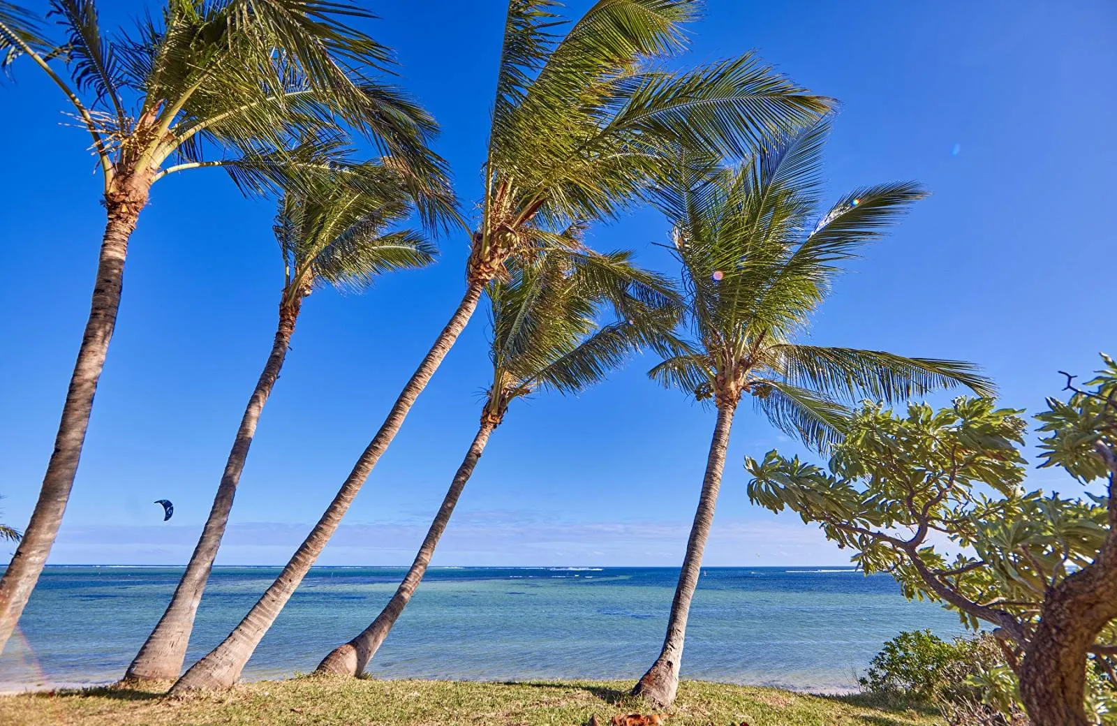 Riu Turquoise Mauritius 4*