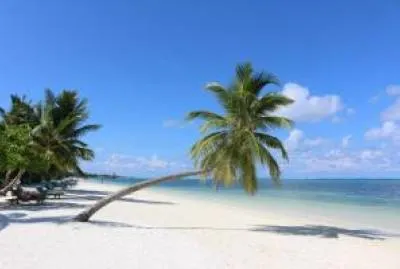 Canareef Resort Maldives 4*