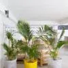 Le Tropical Attitude 3*