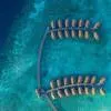 Centara Ras Fushi Resort & Spa Maldives 4*