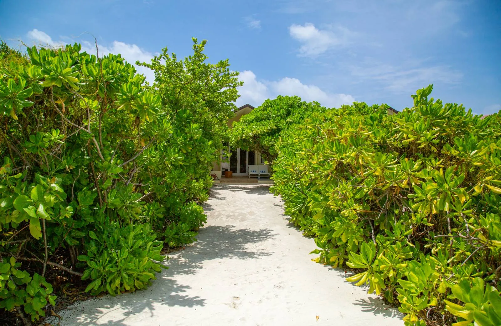 Hondaafushi Island Resort 4*