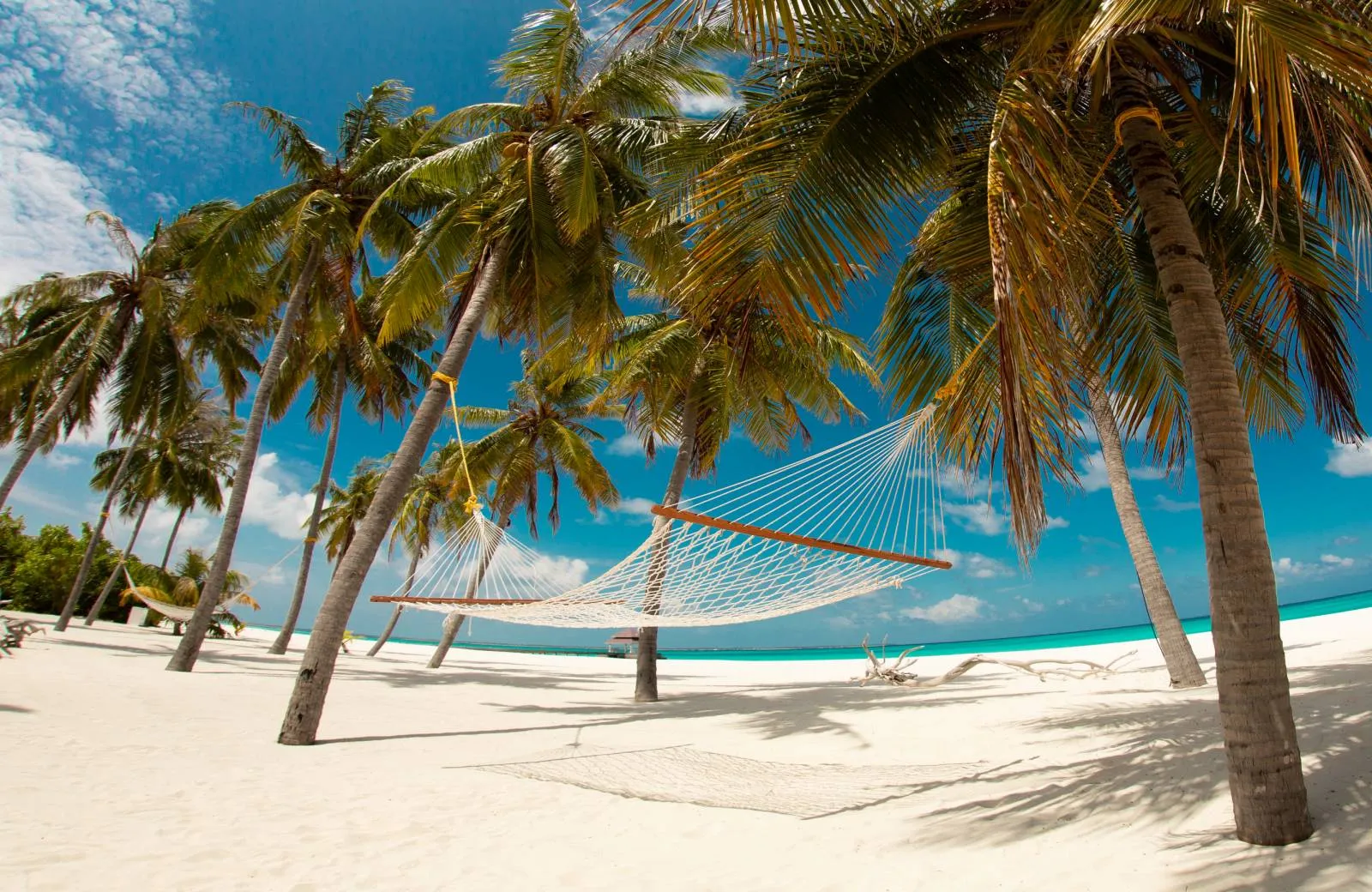 Hondaafushi Island Resort 4*