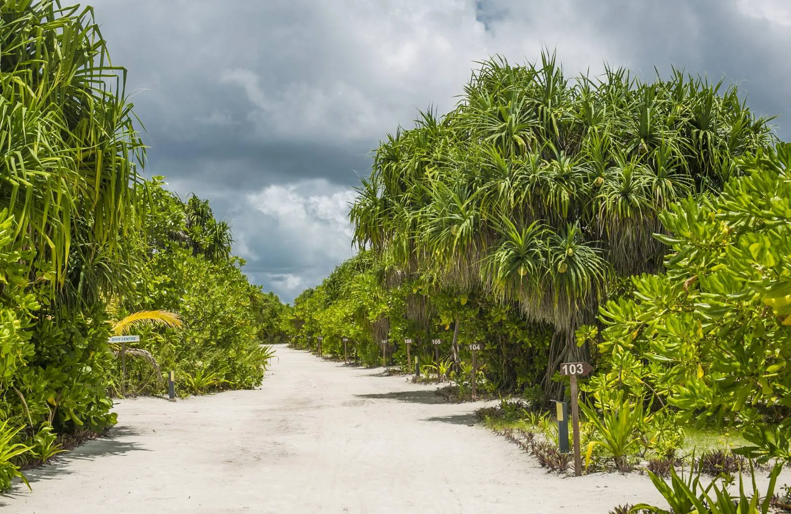 Hondaafushi Island Resort 4*