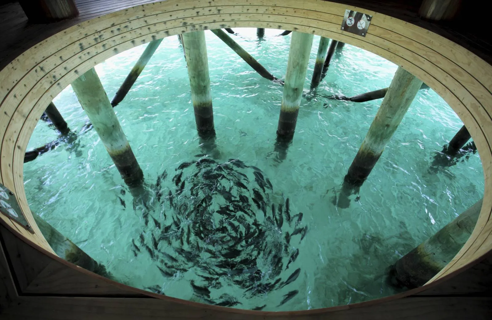 Centara Ras Fushi Resort & Spa Maldives 4*