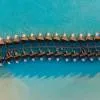 Meyyafushi Maldives  5*