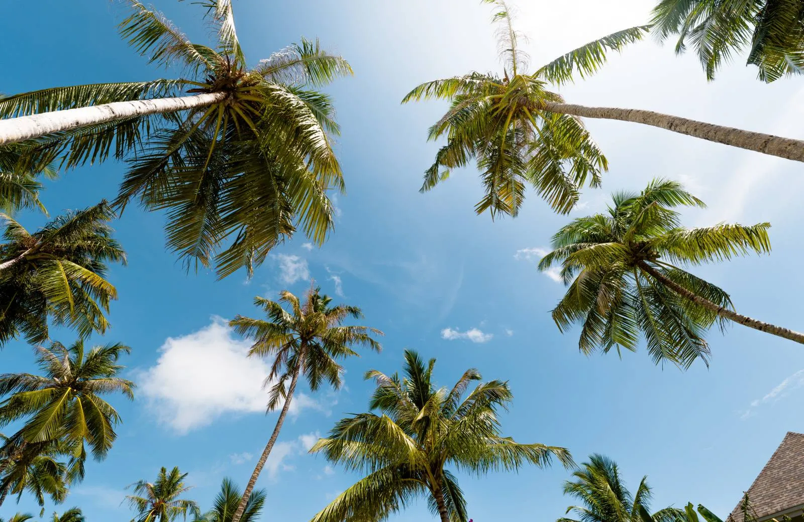 Ananea Madivaru Maldives 5*