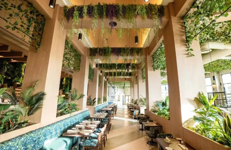 Hard Rock Hotel & Casino Punta Cana 5*