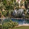 Grecotel Kos Imperial Thalasso 5*