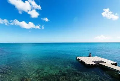 Hibiscus Boutique Hotel 3*