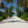 Cinnamon Velifushi Maldives 4*