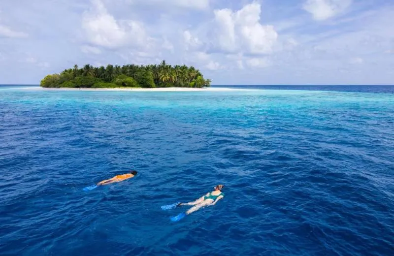 Avani+ Fares Maldives Resort 5*