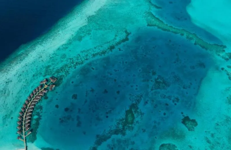 Avani+ Fares Maldives Resort 5*