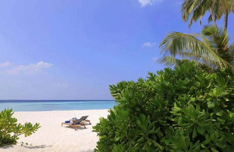 Avani+ Fares Maldives Resort 5*