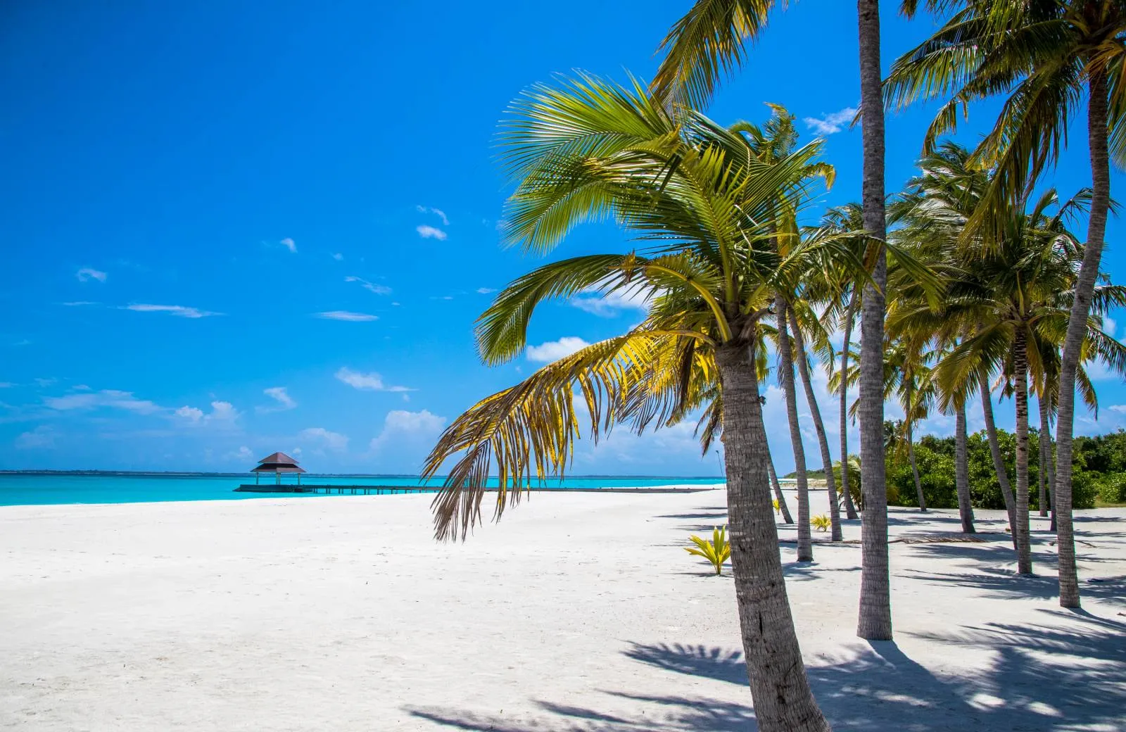 Hondaafushi Island Resort  4*