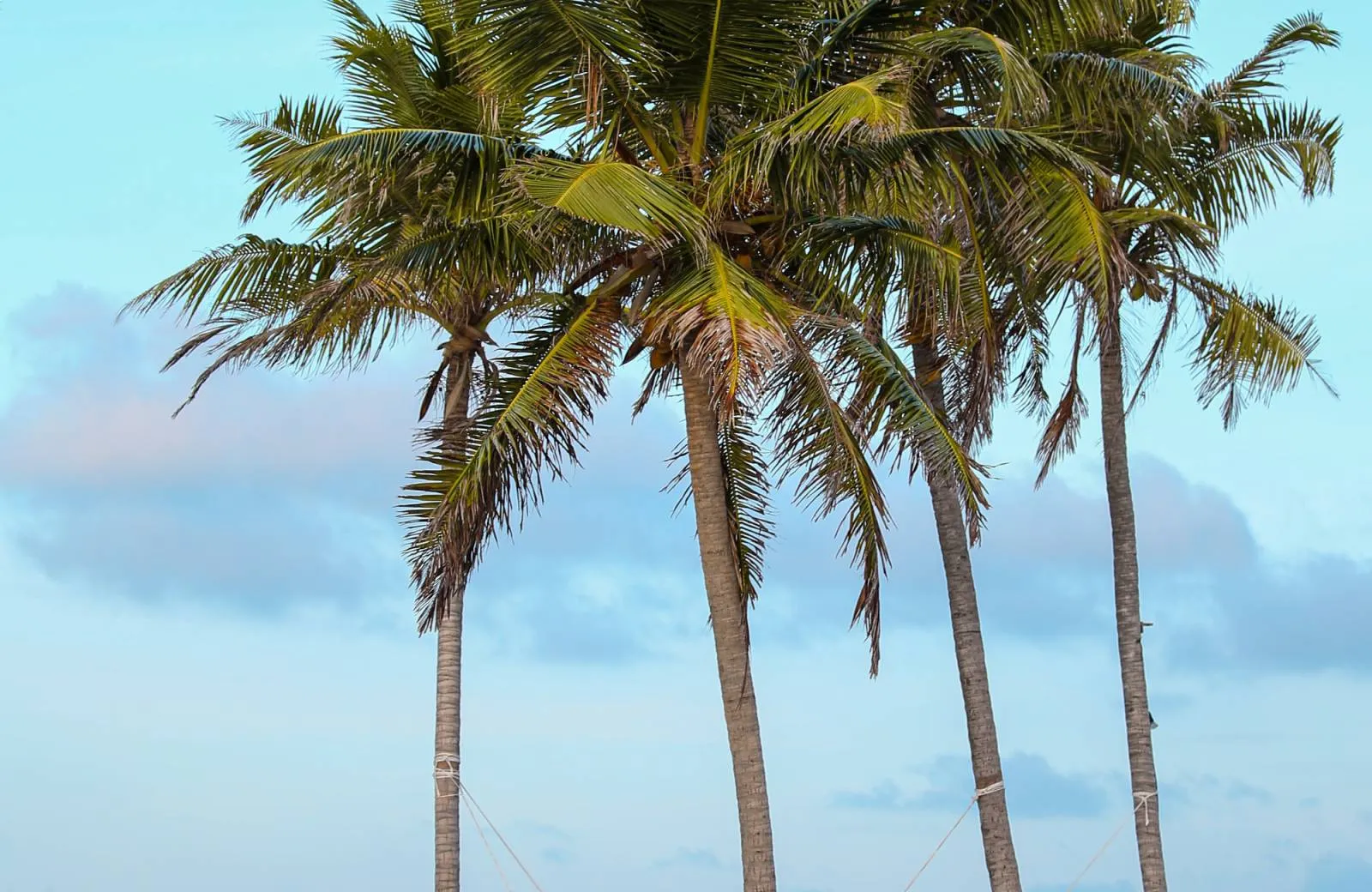 Hondaafushi Island Resort  4*