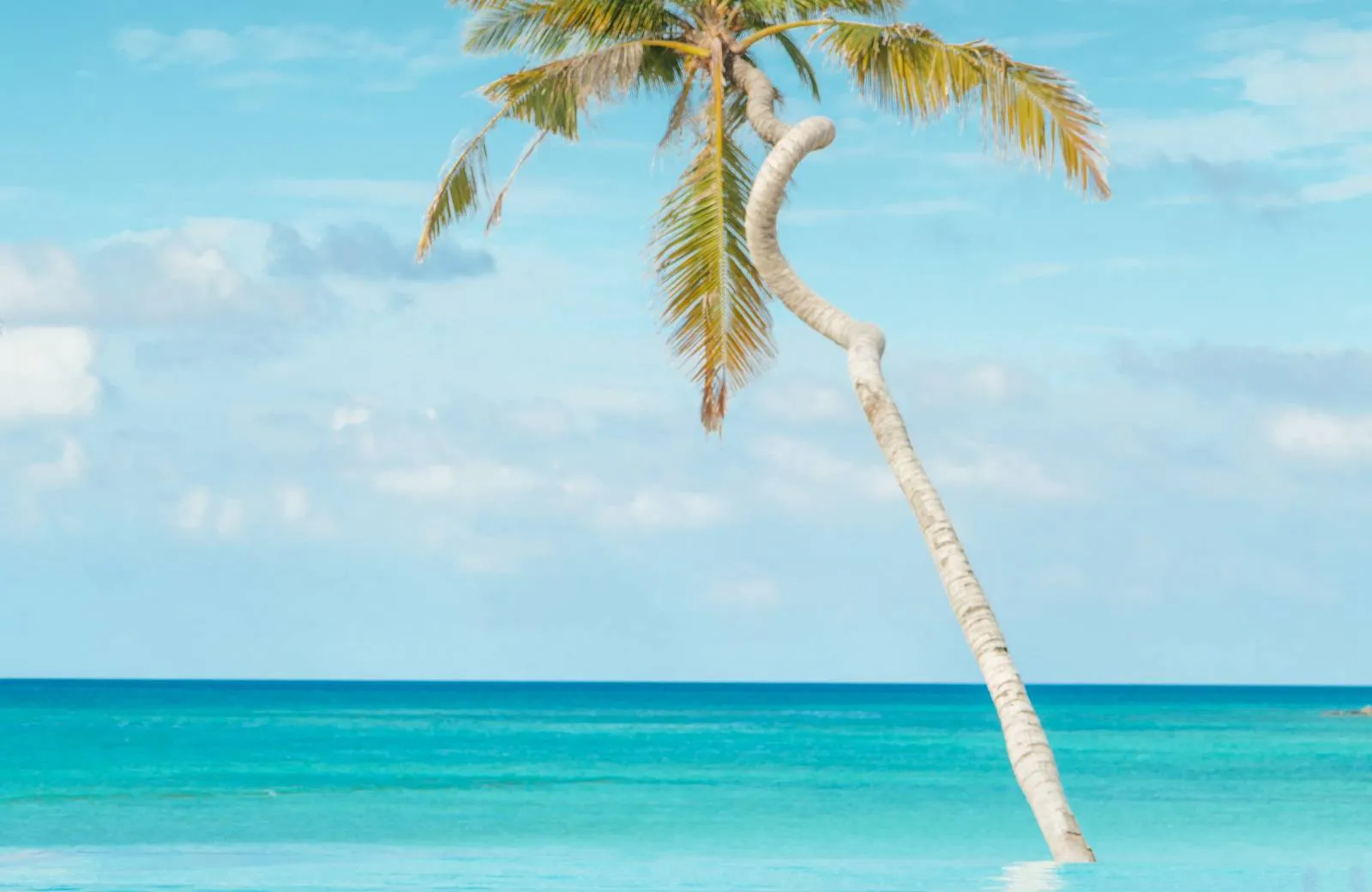 Meyyafushi Maldives  5*