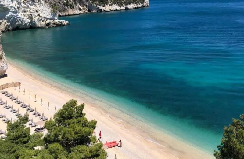 Baia Delle Zagare - Handwritten Collection 4*