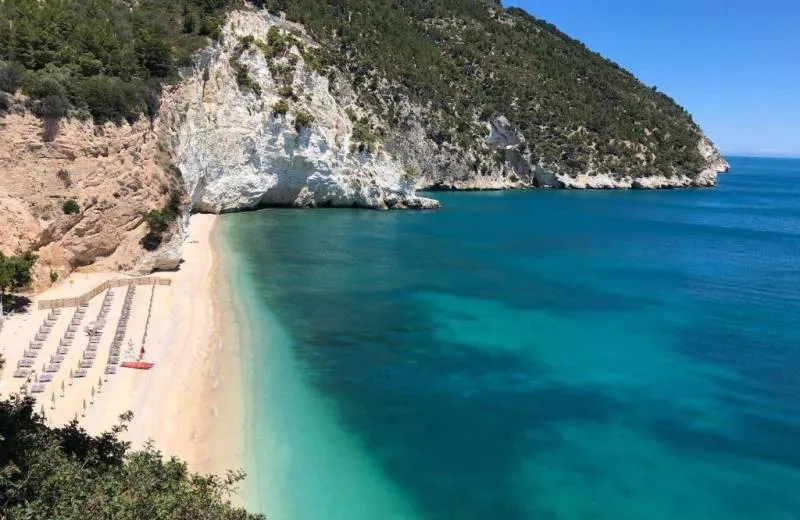 Baia Delle Zagare - Handwritten Collection 4*