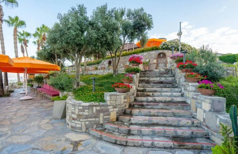 Arum Barut Collection 5*