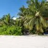 Bliss Hotel Praslin 4*