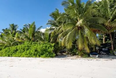 Bliss Hotel Praslin 4*
